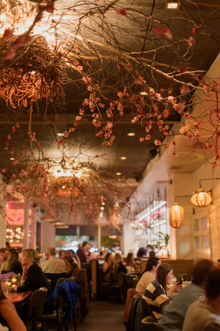 Banyan Bar + Refuge business photo